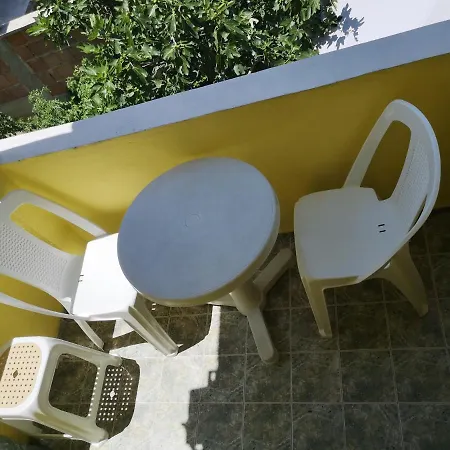 Mimosa Kiten (Burgas)